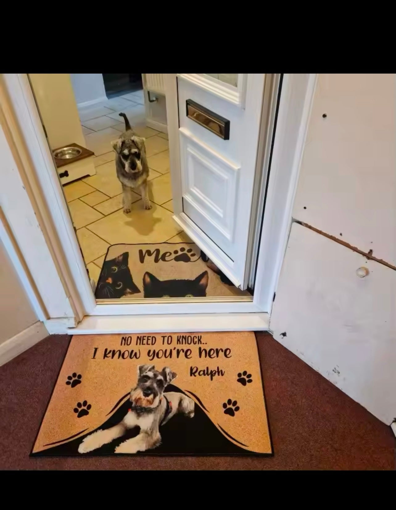 Personalized Dog Cat Welcome Mat Custom Doormat With Pet's Photo Name Approved Hallway Doorway Floor Mats Carpet Home Decor