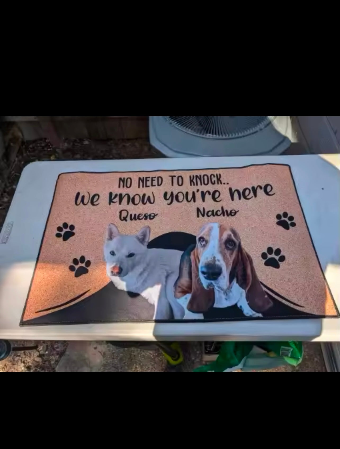 Personalized Dog Cat Welcome Mat Custom Doormat With Pet's Photo Name Approved Hallway Doorway Floor Mats Carpet Home Decor