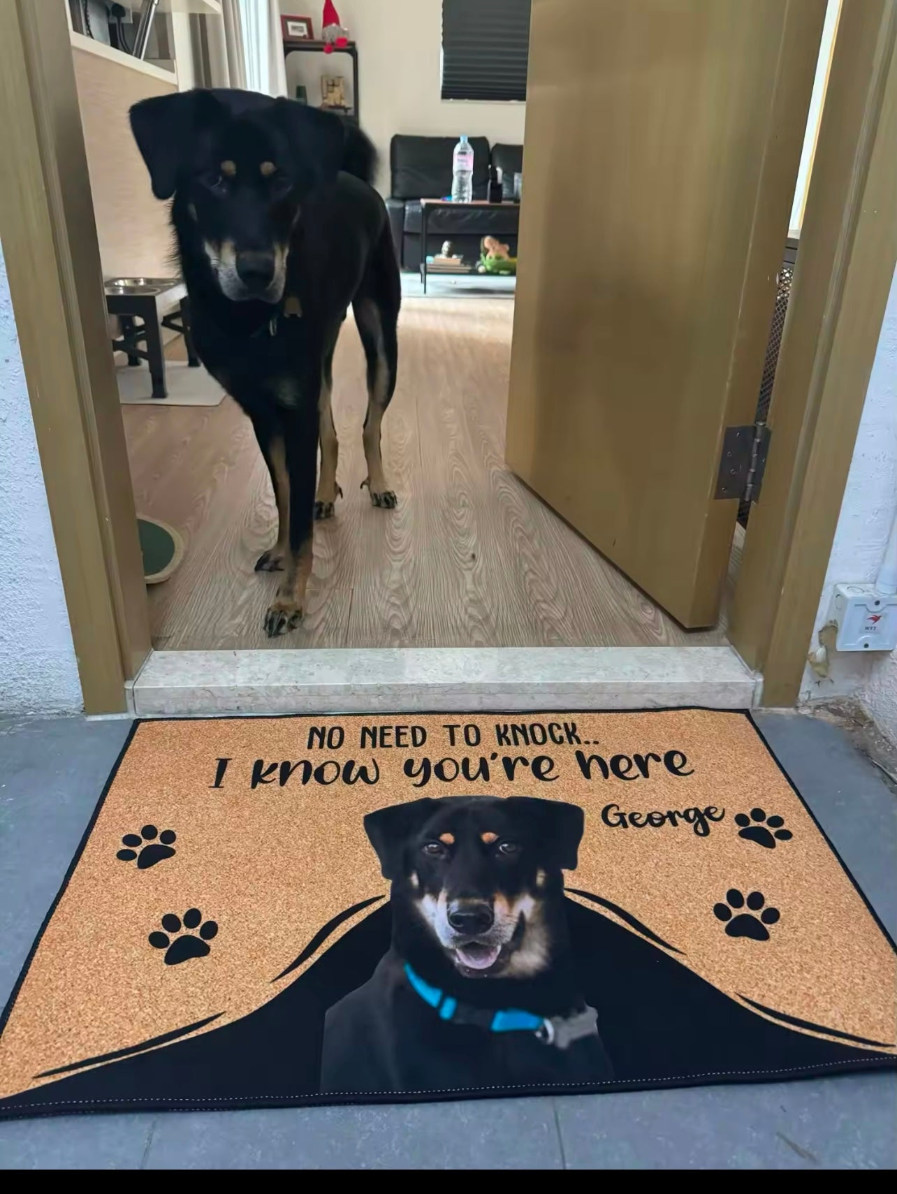 Personalized Dog Cat Welcome Mat Custom Doormat With Pet's Photo Name Approved Hallway Doorway Floor Mats Carpet Home Decor